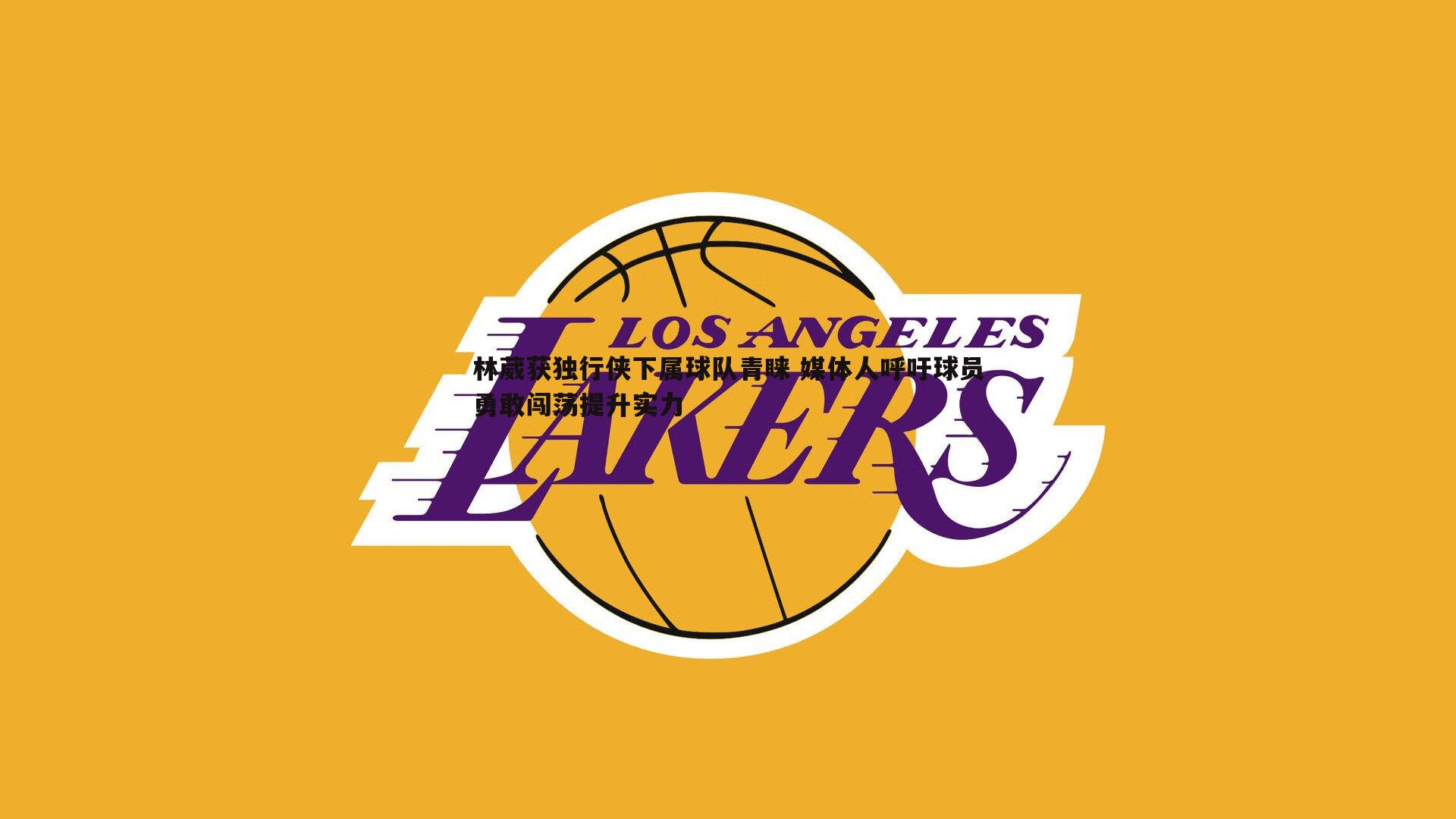 林葳获独行侠下属球队青睐 媒体人呼吁球员勇敢闯荡提升实力